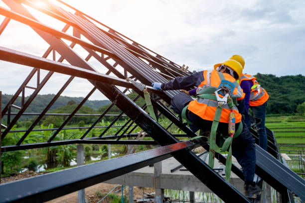 Best Metal Roofing Contractor  in Elton, LA